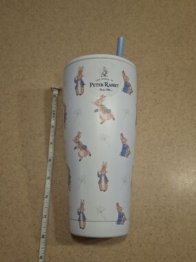 Peter Rabbit Light Blue Travel Tumbler with Straw - Cute Printed Design